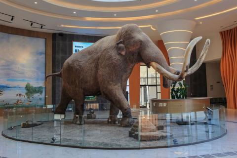 Museo Paleontológico de Santa Lucía Quinamétzin